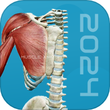 3D肌肉解剖