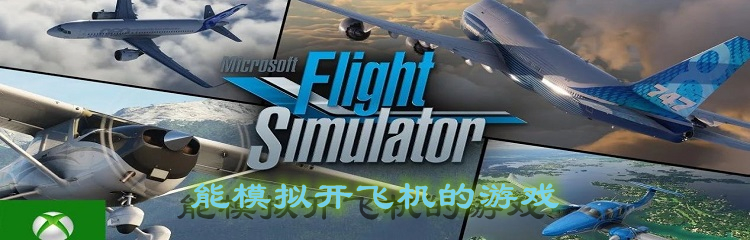 能模拟开飞机的游戏