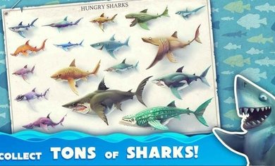 饥饿鲨世界破解版无限珍珠钻石金币