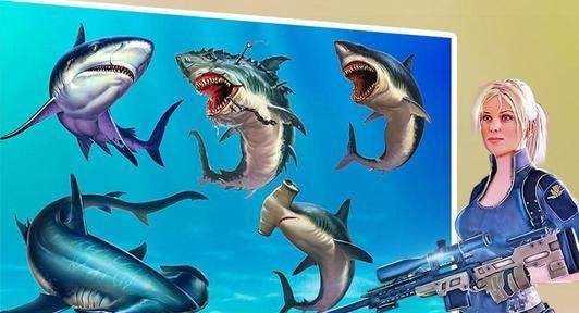 鲨鱼狩猎动物射击