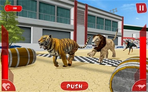 狮子赛跑3D