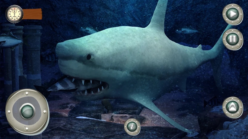 饥饿的疯狂鲨鱼世界大白鲨进化