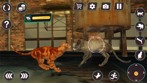 猫咪格斗战争模拟器