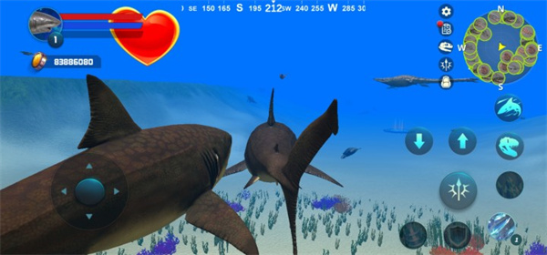 巨齿鲨模拟器官方版
