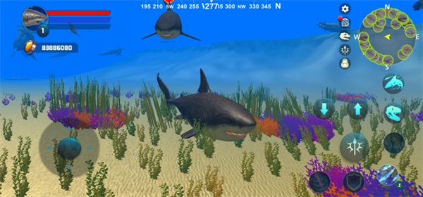 巨齿鲨模拟器官方版